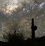 AstroJujuy 2014 Cactus